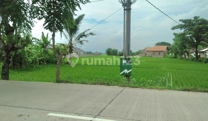 Dijual Tanah Pinggir Jalan Raya, Kota Serang Banten