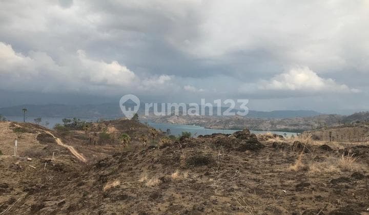 TANAH LABUAN BAJO, HOOK, Dengan View Depan Tanah 180 Derajat