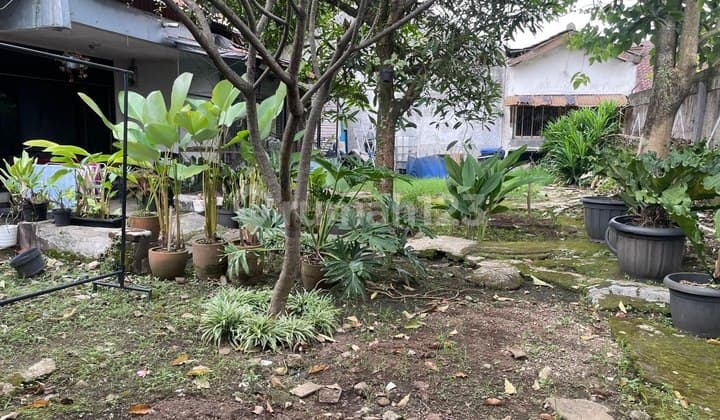 Jarang Ada Tanah Matang Harga di Bawah Pasar Area Turangga