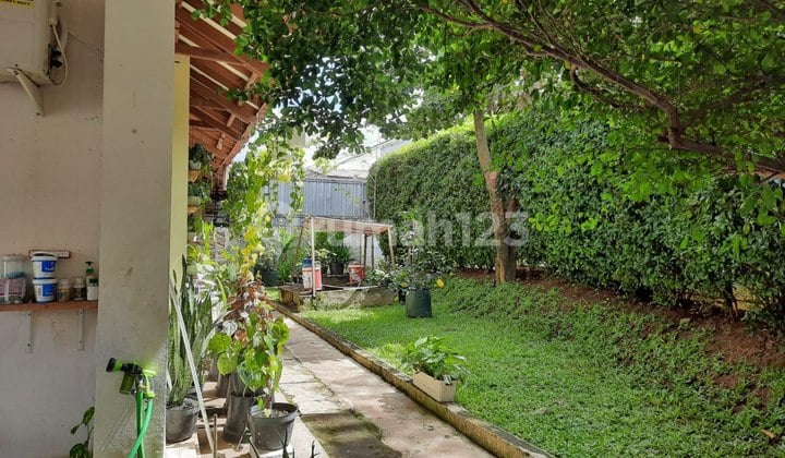 RUMAH MURAH DEKAT AREA HOTEL, COCOK UNTUK USAHA PENGINAPAN