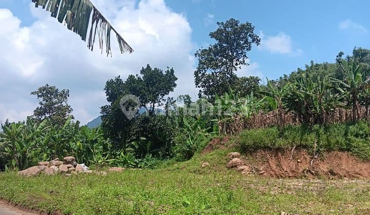 Dijual Tanah Kebun, Relatif Datar di Nagreg Dkt Kantor Desa