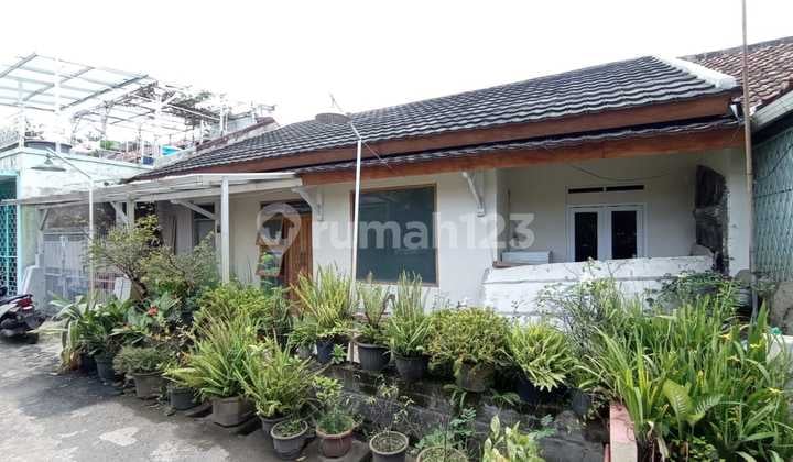 Dijual Rumah Murah Pisan, Bawah Njop, Hitung Tanah Aja, Terawat, Bebas Banjir Di Kiara Condong, Kircon Blkg Samsat Soeta