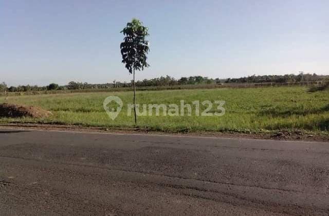 Dijual Tanah Komersial Zona Industri, Izin Industri Pabrik, Gudang, Tanah Siap Bangun, Murah Banget Di Ujung Jaya, Kabupaten Sumedang, Jawa Barat