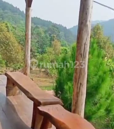 For Sale: Durian Plantation, Mangosteen Orchard, Very Cheap, Perfect for Investment, Savings for Old Age and End Times in Subang.