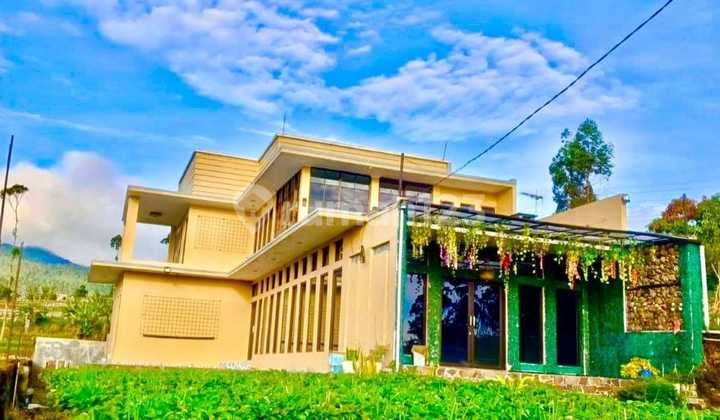 Dijual Villa dan Kebun Strawberry, Siap Huni, Terawat Sekali, View Mountain Indah Asri Nyaman, Cocok Hunian Akhir Zaman, Pensiun / Invest di Ciwidey