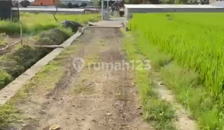 Dijual Tanah Zona Hijau Lokasi Jalan Pantai Cemagi Munggu Badung Bali