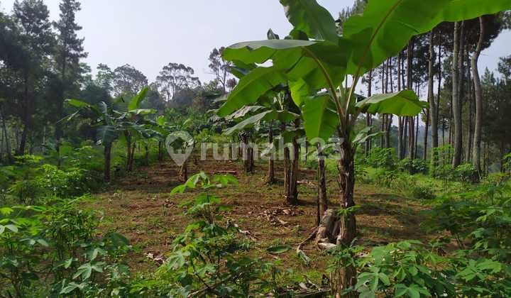 Tanah Cipageran Kontur Tanah Datar 10584 m2 SHM Cimahi, Bandung