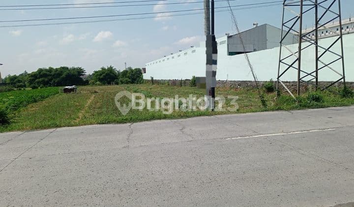 TANAH ZONA KUNING TEPI JALAN RAYA KARTASURA