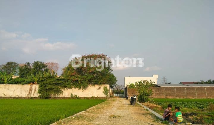 Dijual Tanah Pekarangan Solo Baru, Lebar Depan.38 Meter, Belakang Singapore Piaget Acadeny