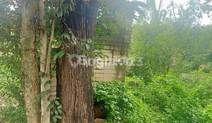 TANAH MURAH MASARAN SRAGEN, BISA UNTUK DIBANGUN RUMAH ATAU GUDANG