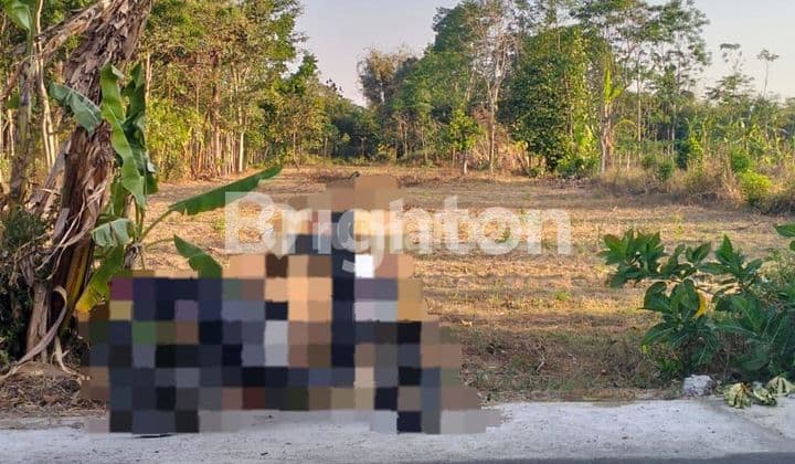 TANAH ZONA MERAH INDUSTRI BOYOLALI
