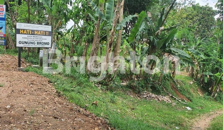 TANAH LEBAR DEPAN 60 METER DAERAH GEDONG KARANGANYAR