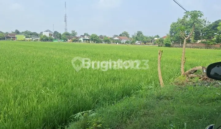TANAH ZONA KUNING, LEBAR DEPAN +/- 50 METER, AREA BAKI SUKOHARJO