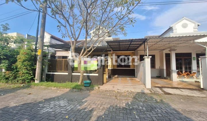 MODERN MINIMALIST 1-STOREY HOUSE NEW SOLO