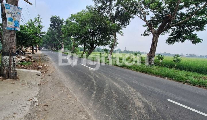 GUDANG BARU , ZONA KUNING, AKSES KONTAINER 40 FEET , AREA SUKOHARJO