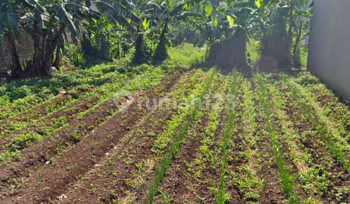 Dijual Cepat 2 Kavling Gandeng 2 Sisi Strategis & Nyaman di Megaraya, Sukaraja, Cicendo, Bandung