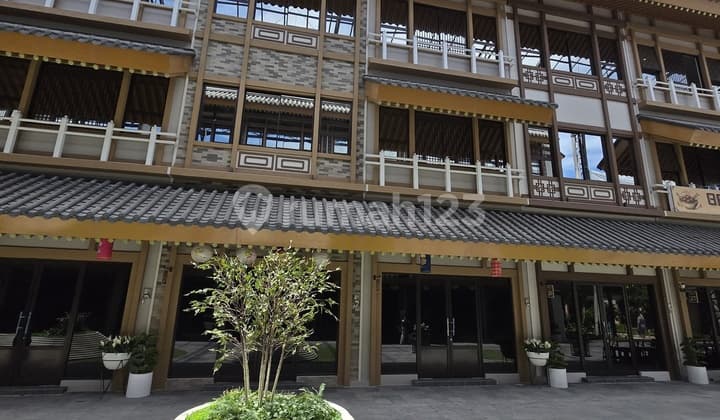 Price Drop - Euroasia Osaka Thematic Rukan Pik 2