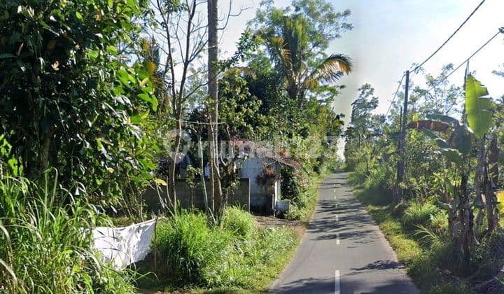 Dijual Kebun Lokasi Tegallalang Taro Gianyar Akses Jalan Aspal