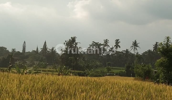 Dijual tanah dengan view sawah dekat dengan ubud aspek perumahan