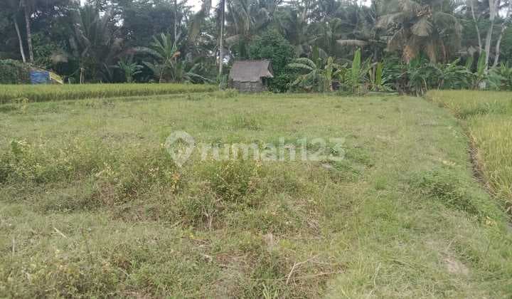 Dijual tanah view sawah jalan utama lodtunduh ubud