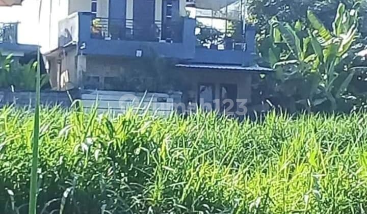 For Rent Villa Lokasi Jalan Pantai Saba Blahbatuh Gianyar Bali Dekat Ke Pantai