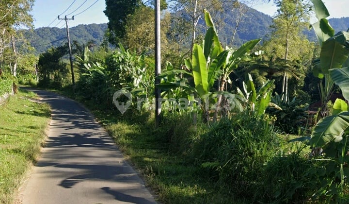 Dijual Kebun Lokasi Pinggir Jalan Utama Pelaga Petang Badung View Pegunungan