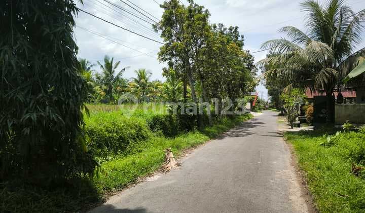 Dijual Tanah Tanah Lokasi Pinggir Jalan Utama Pejeng Kangin Tampaksiring Gianyar Bali