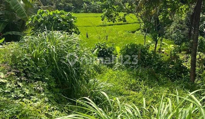 Dijual Tanah View Sungai Dan Jungle Di Mas Ubud