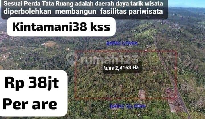 Tanah Kebun pinggir jalan catur kintamani Bangli perbatasan Badung