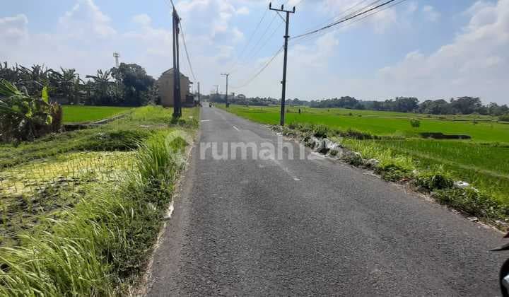For Rent: Vacant Land on Main Road Kaba Kaba, Tabanan