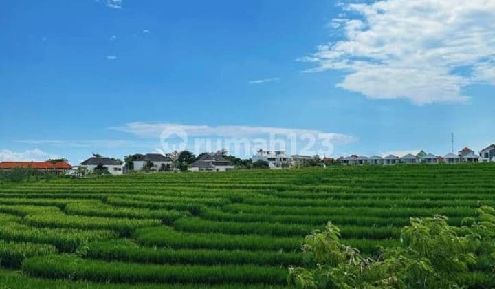 Dijual Tanah Luasan Kecil Lokasi Berawa Jalan Krishnantara View Sawah Los Sungai