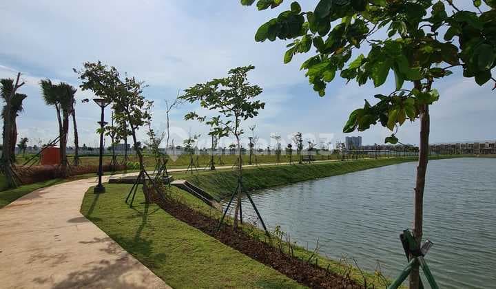 Palm Spring Pik2 View Danau Plot