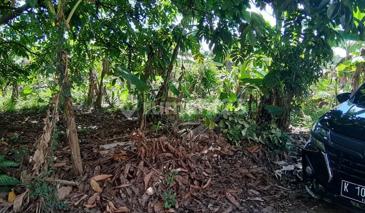 Dijual Kavling Tanah 1250m2 di Jl Pamona, Serua, Tangerang Selatan