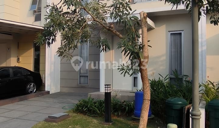 Termurah Disewakan Furnish Carrillo Boston Village Gading Serpong