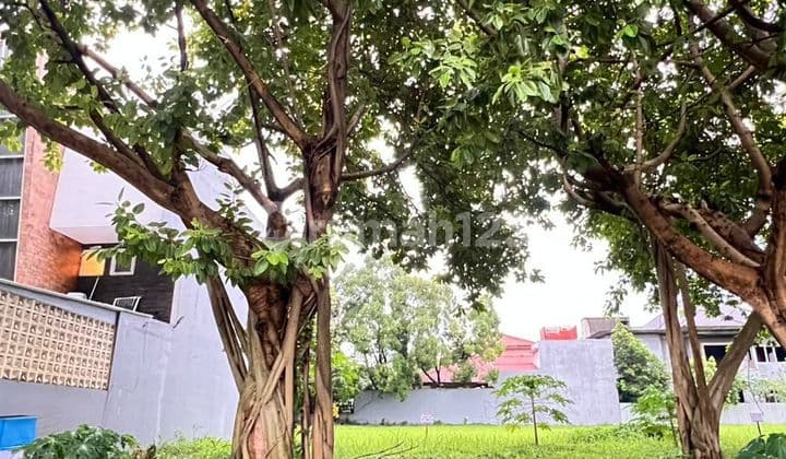 Kavling Strategis Kemang Bekasi Luas 258M² Siap Bangun