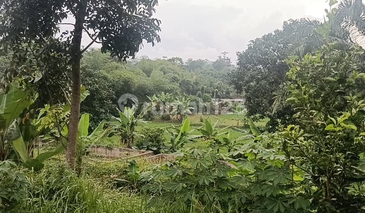 Murah Tanah Luas 11000M2 1,1Ha SHM Pinggir Jalan di Jonggol Bogor