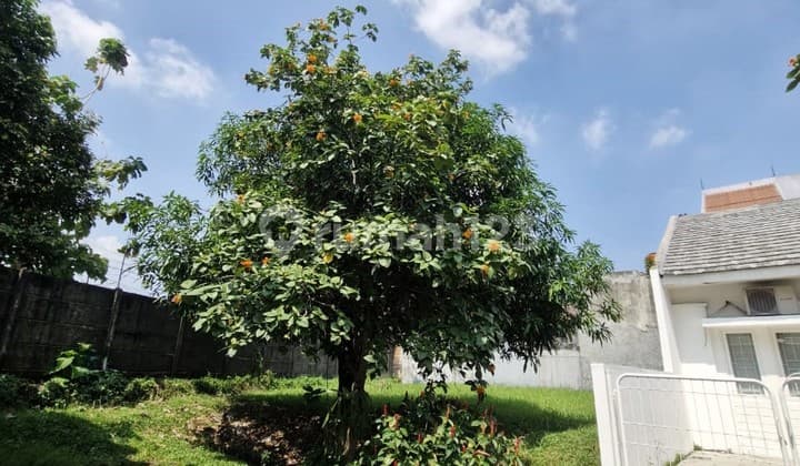 Kavling Griya Sutera Alam Sutera Luas 258m2 Bentuk Ngantong Hoki