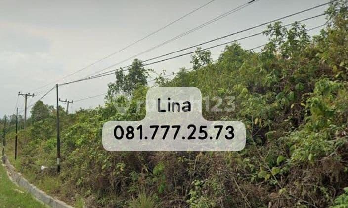 Dijual Cepat Lahan Tanah IKN, Penajam. Kalimantan Timur