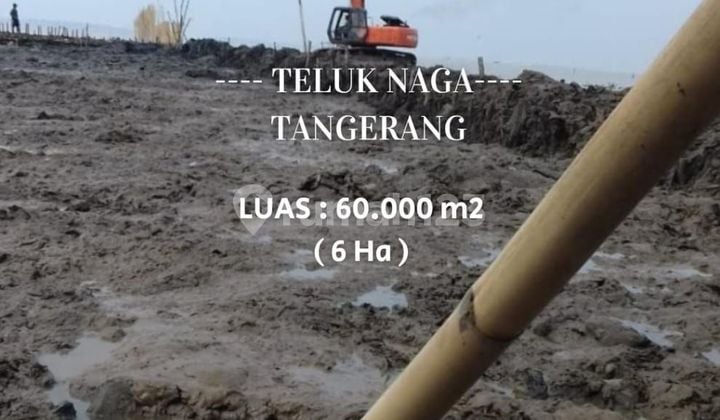 Cheap Sale 6 Ha Land Plot in Teluk Naga, Tangerang Cheap Sale 6 Ha Land Plot in Teluk Naga, Tangerang