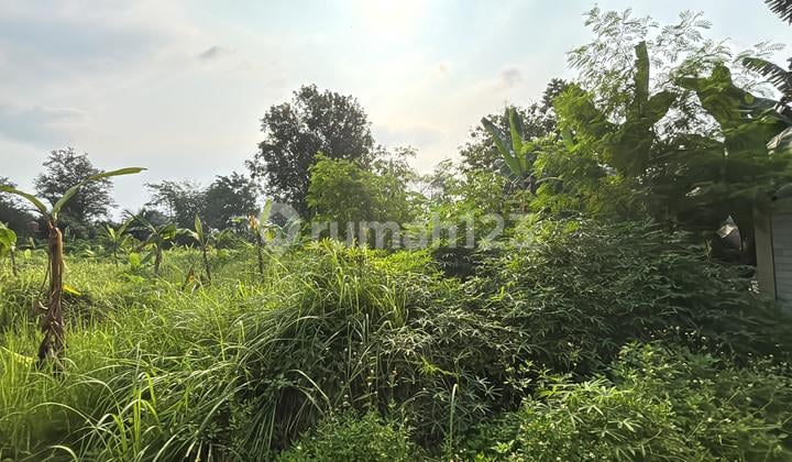 Dijual Kavling uk 5000m2 Balaraja Barat SHM