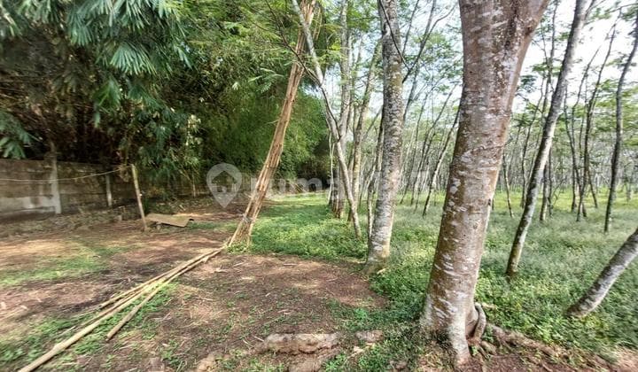 Dijual Tanah Luas 2.5 Ha Cocok untk Perumahan, Cikupa