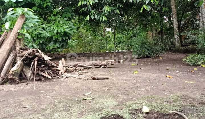 DIJUAL Tanah Pekarangan Masih Asri Di Seyegan Sleman Yogyakarta.