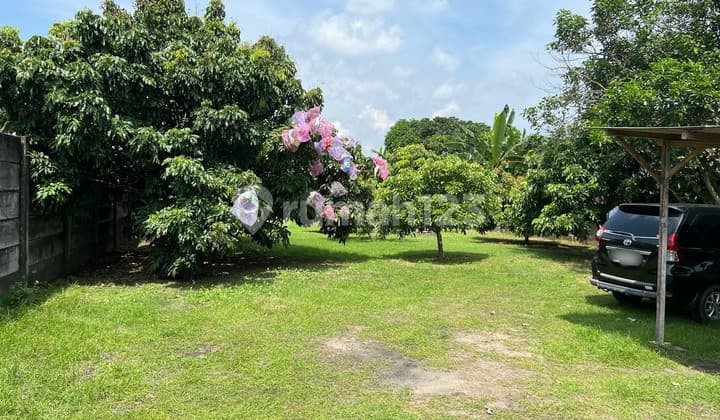 Tanah Pekarangan 1443 Meter Persegi Lokasi Dekat Bandara Adi Sucipto, Berbah, Sleman.