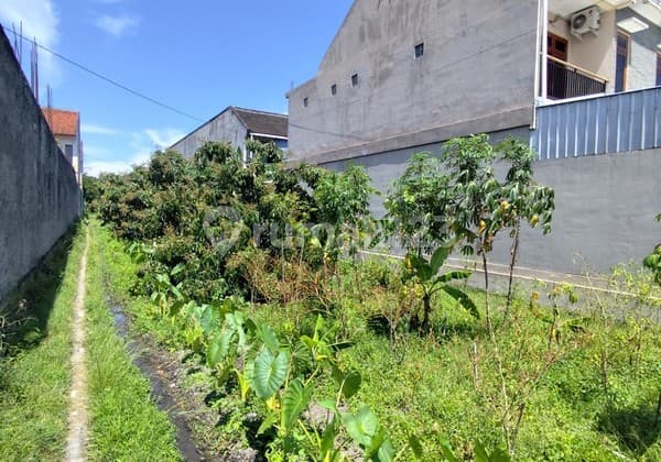 For Sale: Large 1,243 Square Meter Plot of Land in Tamantirto, Just a Stone's Throw Away from UMY Campus, Tamantirto, Kasihan, Bantul