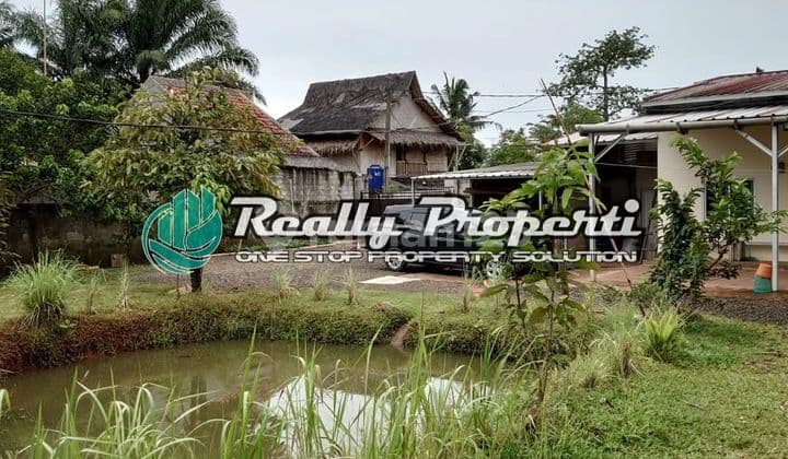 Dijual Lahan Produktif Bisa Buat Ternak,kebun,kontrakan Di Citayam Bogor Jawa Barat