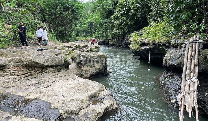 Kavling Desa Kemenuh Ubud Gianyar Bali Itr Kuning Bisa Utk Villa