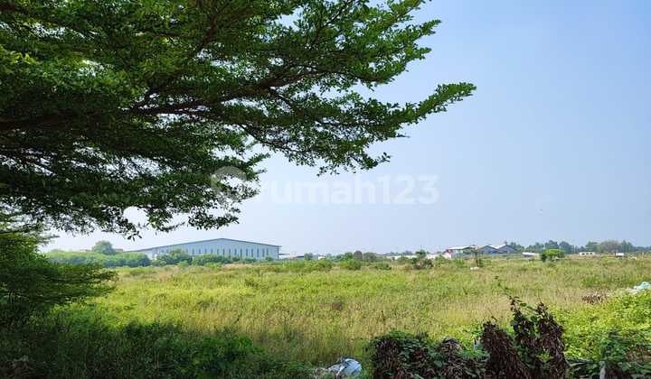 Rent Plot Hacaca Sagara Makmur Tarumajaya Bekasi Area 1 Hectare