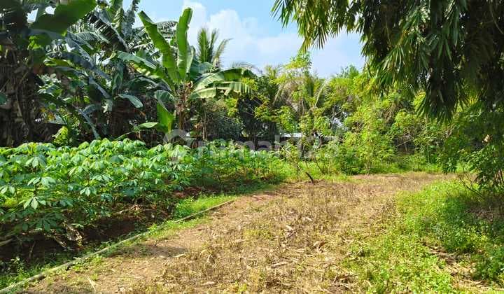 Dijual Cepat Kavling Taman Sari Setu Bekasi Cocok untuk Bangun Cluster Dekat Tol Burangkeng Setu