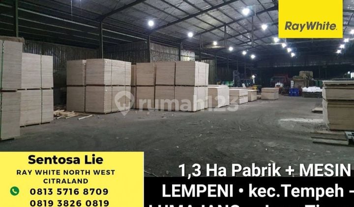 Dijual 1,3 Ha Pabrik di Desa Lempeni -Kec. Tempeh - Kab.Lumajang JATIM