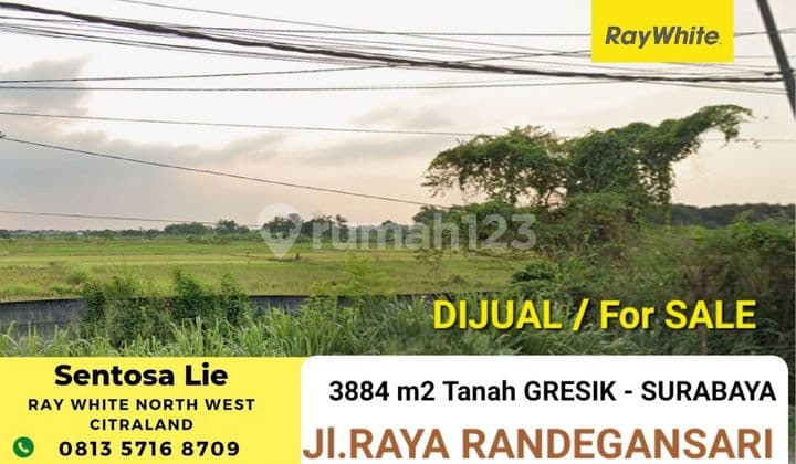 Dijual 3884 m² Tanah Raya Randegansari - Driyorejo Dekat Citraland SURABAYA